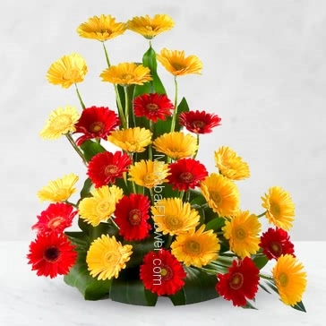 Gift is a feeling of heart. give beautiful Arrangement of 40 Red and Yellow Gerberas
