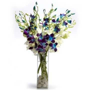Glass vase with 10 Blue Orchids and White nicely decorated with greens.. Please note this item not available all the time
